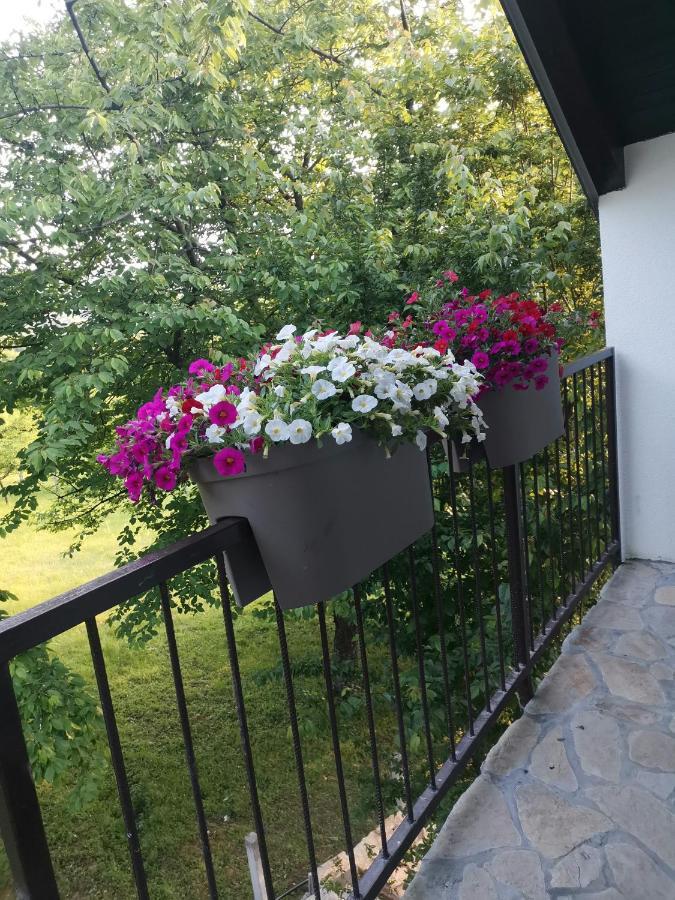 Ferienwohnung Stari Trsic Exterior foto